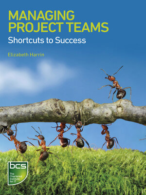 cover image of Managing Project Teams